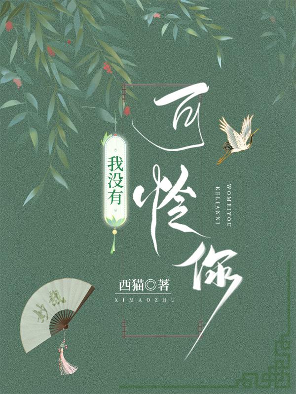 我没有可怜你封面