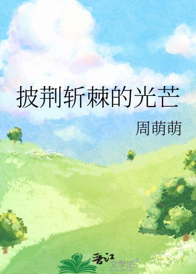 披荆斩棘的光芒封面