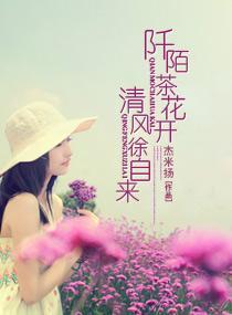 阡陌茶花开清风徐自来封面