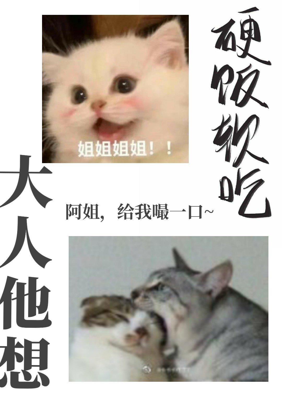 大人他想硬饭软吃封面