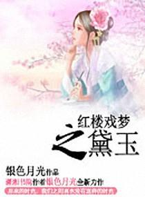 红楼戏梦之黛玉封面
