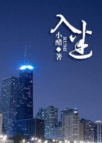 入迷封面