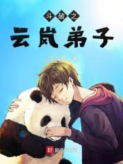 斗破之云岚弟子封面