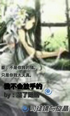 我不会放手的封面