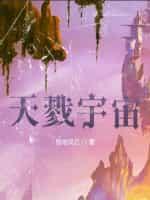 天戮宇宙封面