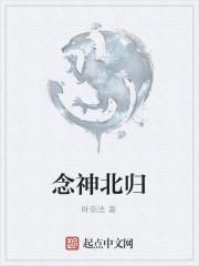 念神北归封面