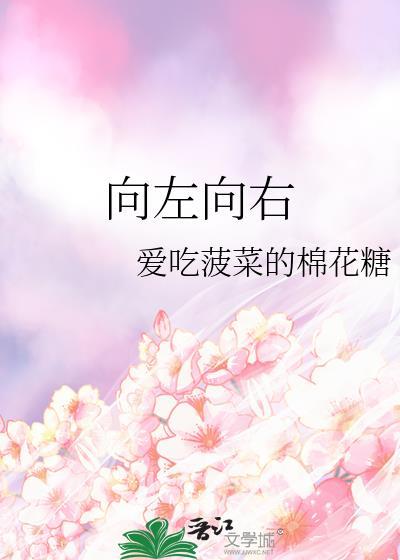 向左向右封面