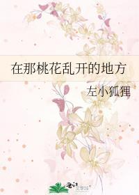 在那桃花乱开的地方封面