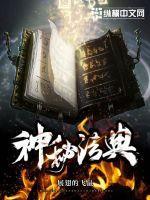 神秘法典封面