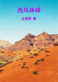 西风峥嵘封面
