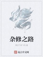 杂修之路封面