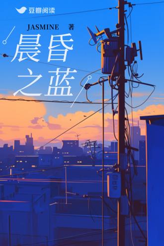 晨昏之蓝封面