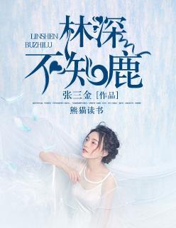 林深不知鹿封面