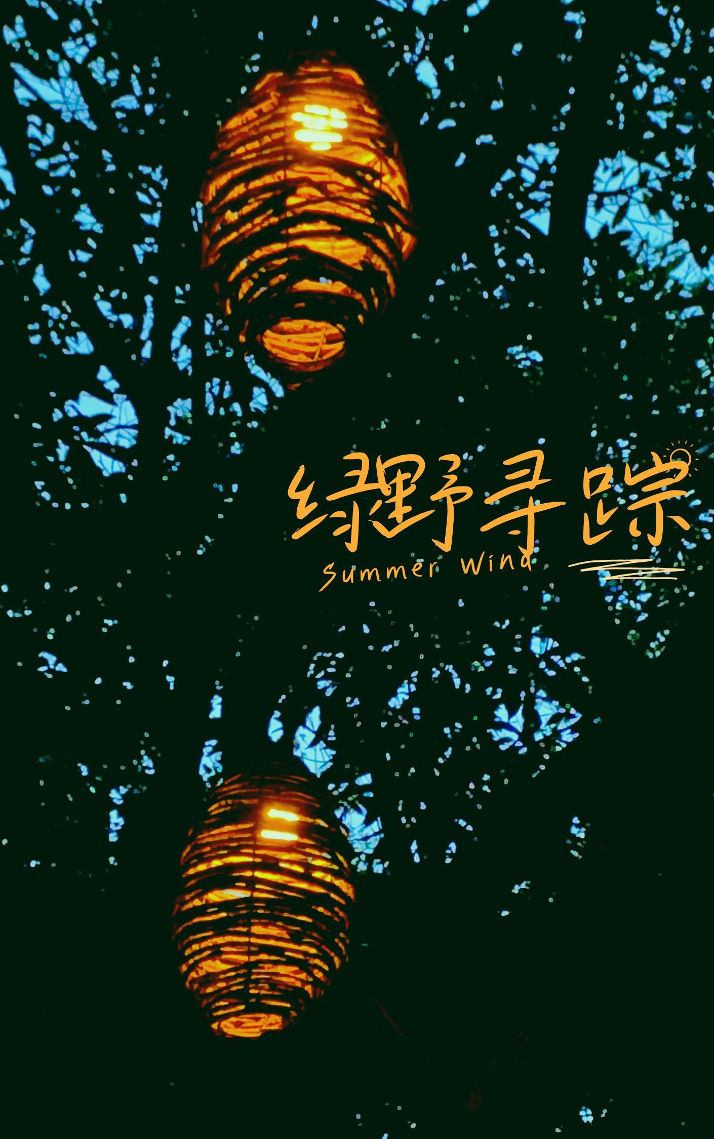 绿野寻踪封面