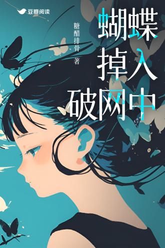 蝴蝶掉入破网中封面