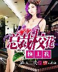 总裁校花赖上我封面