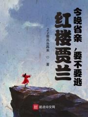 红楼贾兰：今晚省亲，要不要逃？封面