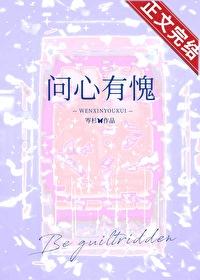 问心有愧封面