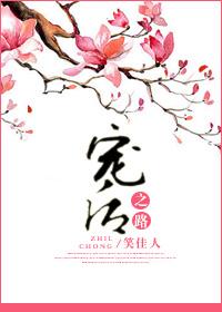 宠后之路封面