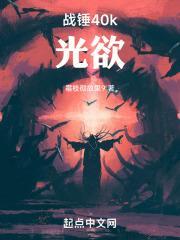 战锤40k：光欲封面