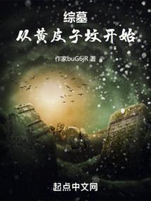 综墓：从黄皮子坟开始封面