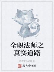 全职法师之真实道路封面