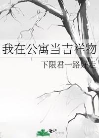 我的男子公寓封面