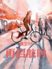 重生95：再启航时封面