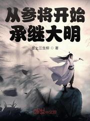 从参将开始承继大明封面