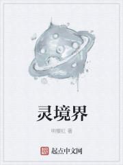 灵境界封面