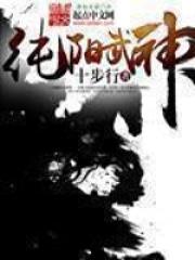 纯阳武神等级境界划分封面