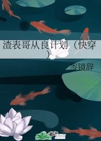 渣表哥从良计划封面