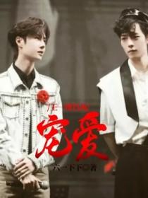 王一博肖战：宠爱封面