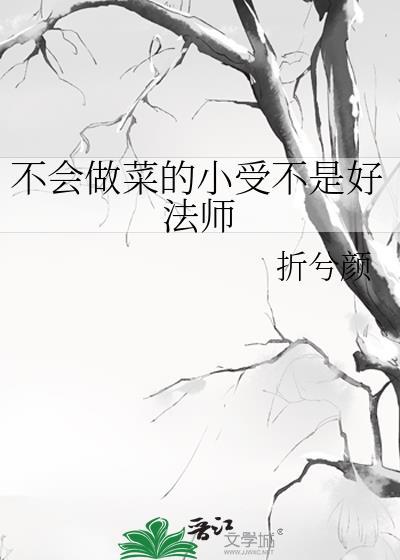 不会做菜的小受不是好法师封面
