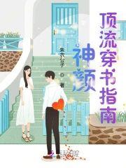 神颜顶流穿书指南封面