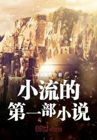 小流的第一部封面