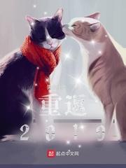 重返2019封面