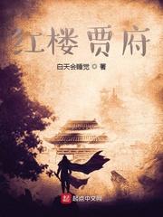 红楼贾府黄改版本封面