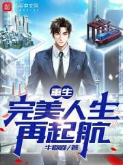 重生：完美人生再起航封面
