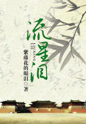 流星泪封面