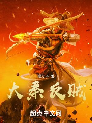 大秦反贼封面
