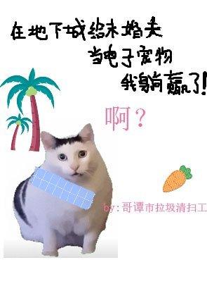在地下城当未婚夫电子宠物躺赢封面