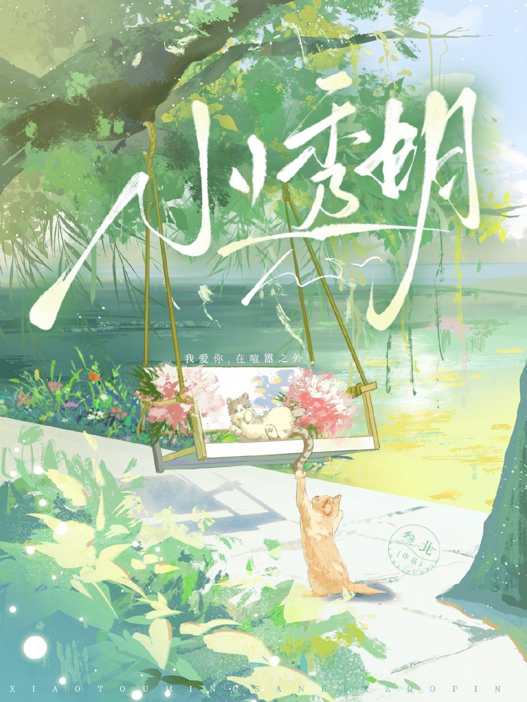 小透明封面