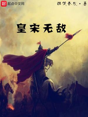 皇宋无敌封面
