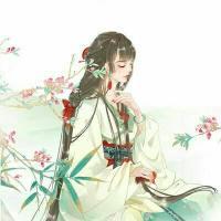 苏红珊封面