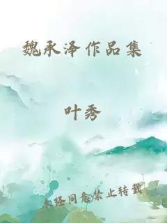 魏承泽作品集封面