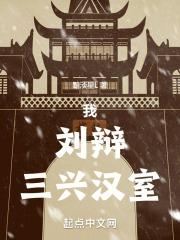 我，刘辩，三兴汉室封面