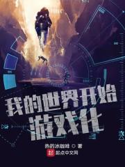 我的世界开始游戏化封面