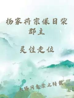 杨家将宗保日柴郡主封面