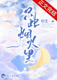 只此烟火裏封面